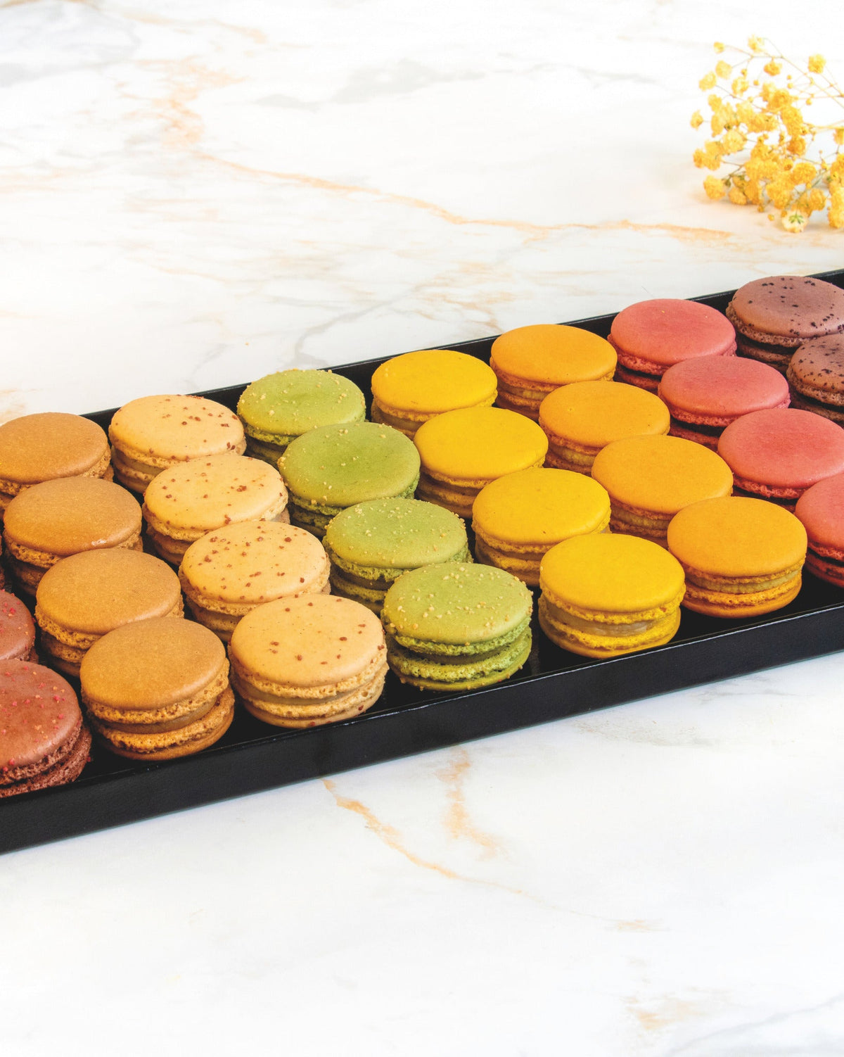 Prestige macaron platter, prepared by C-Gastronomie in Abu Dhabi