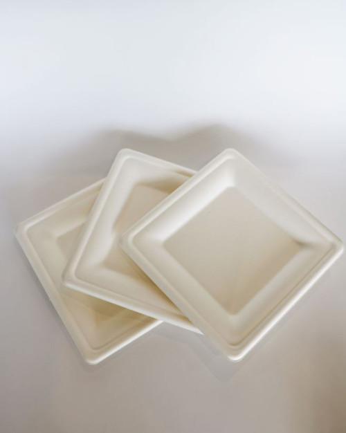 Compostable Plates – Pack of 50